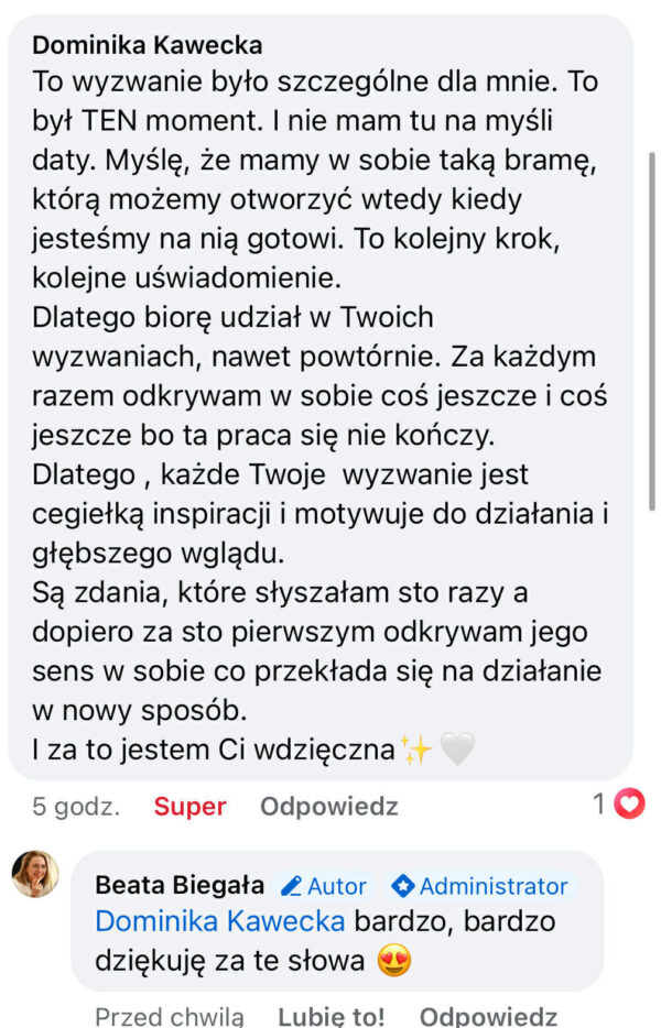 Warsztat "Główna aktorka!" 24-27.08.2025 | godz. 20:00 - obrazek 3